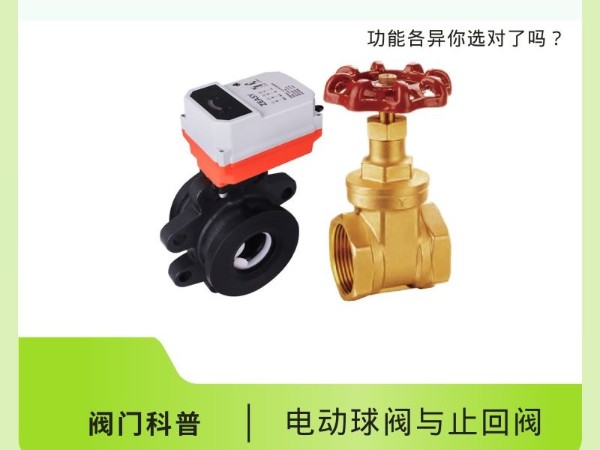 閥門科普：電動(dòng)球閥VS止回閥，功能各異你選對(duì)了嗎？