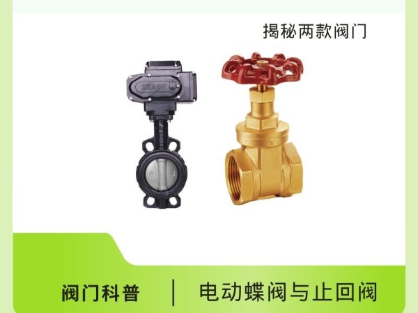 電動(dòng)蝶閥與止回閥：揭秘兩款閥門的獨(dú)門絕技！