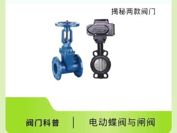 電動(dòng)蝶閥與閘閥：揭秘兩款閥門的獨(dú)特魅力