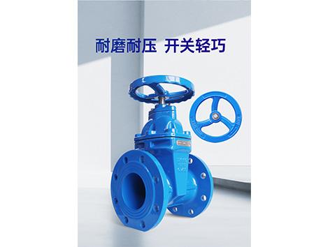 甄易暗桿閘閥：隱于無(wú)形，守護(hù)安全